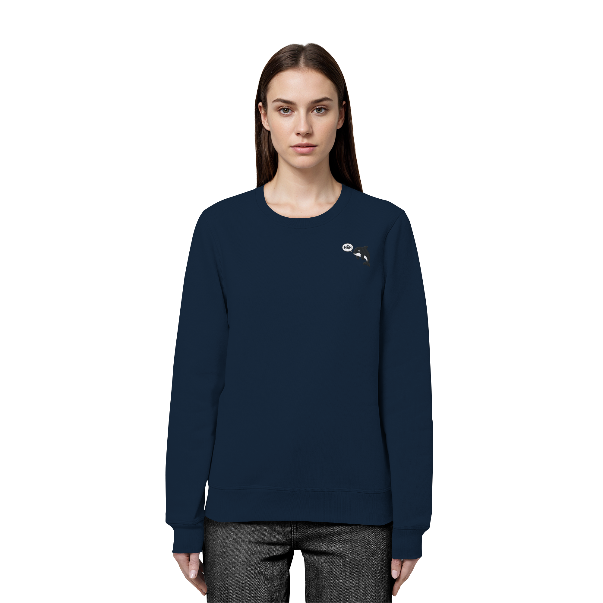 French Navy