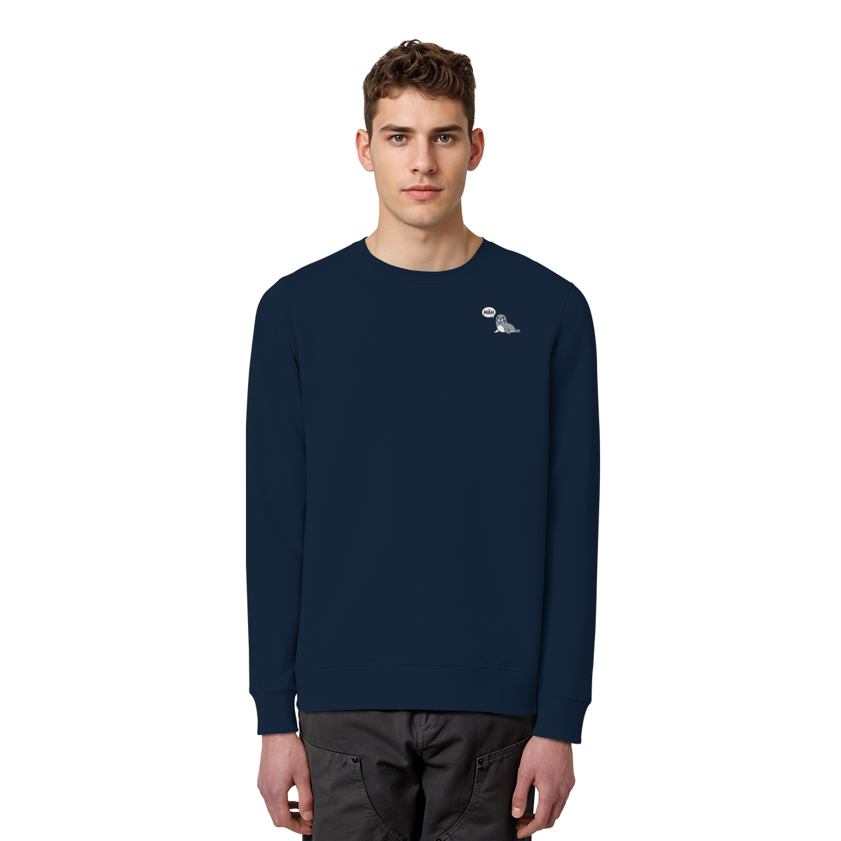 French Navy