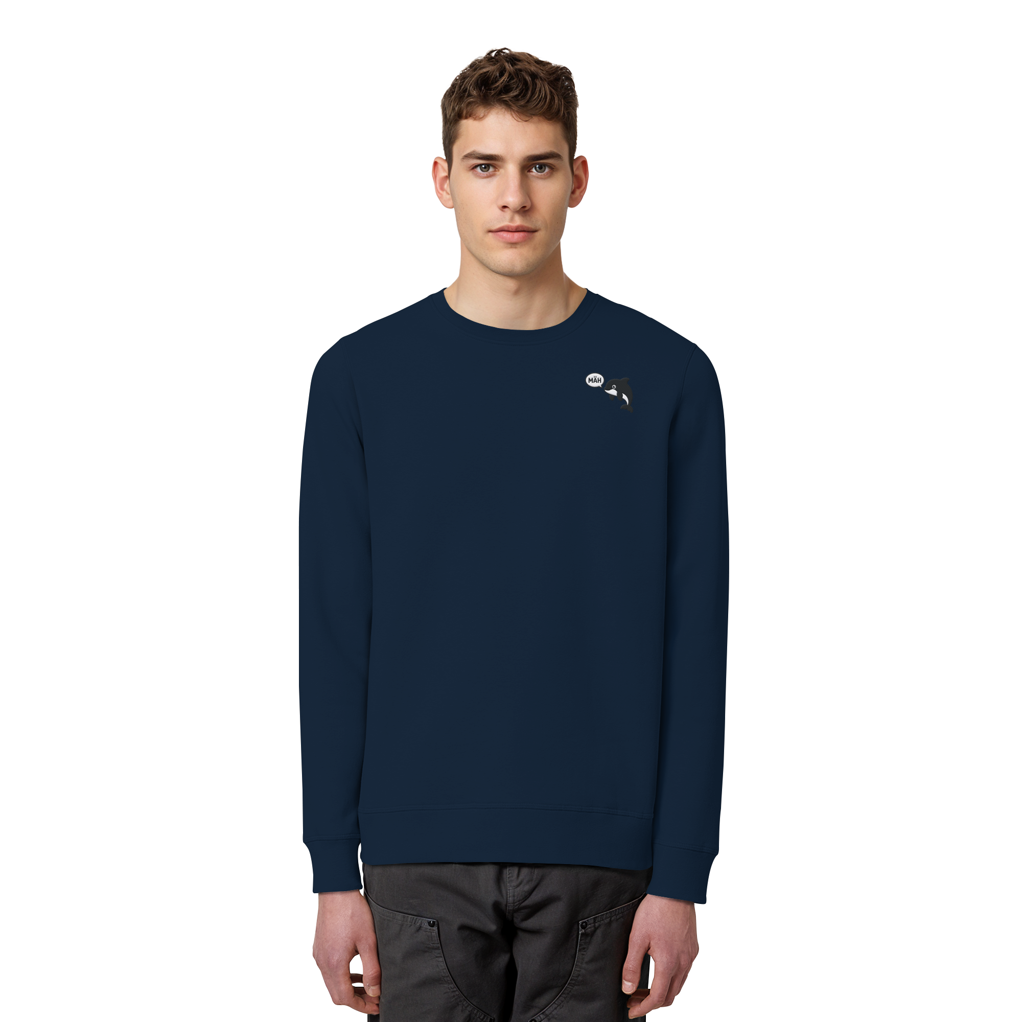 French Navy