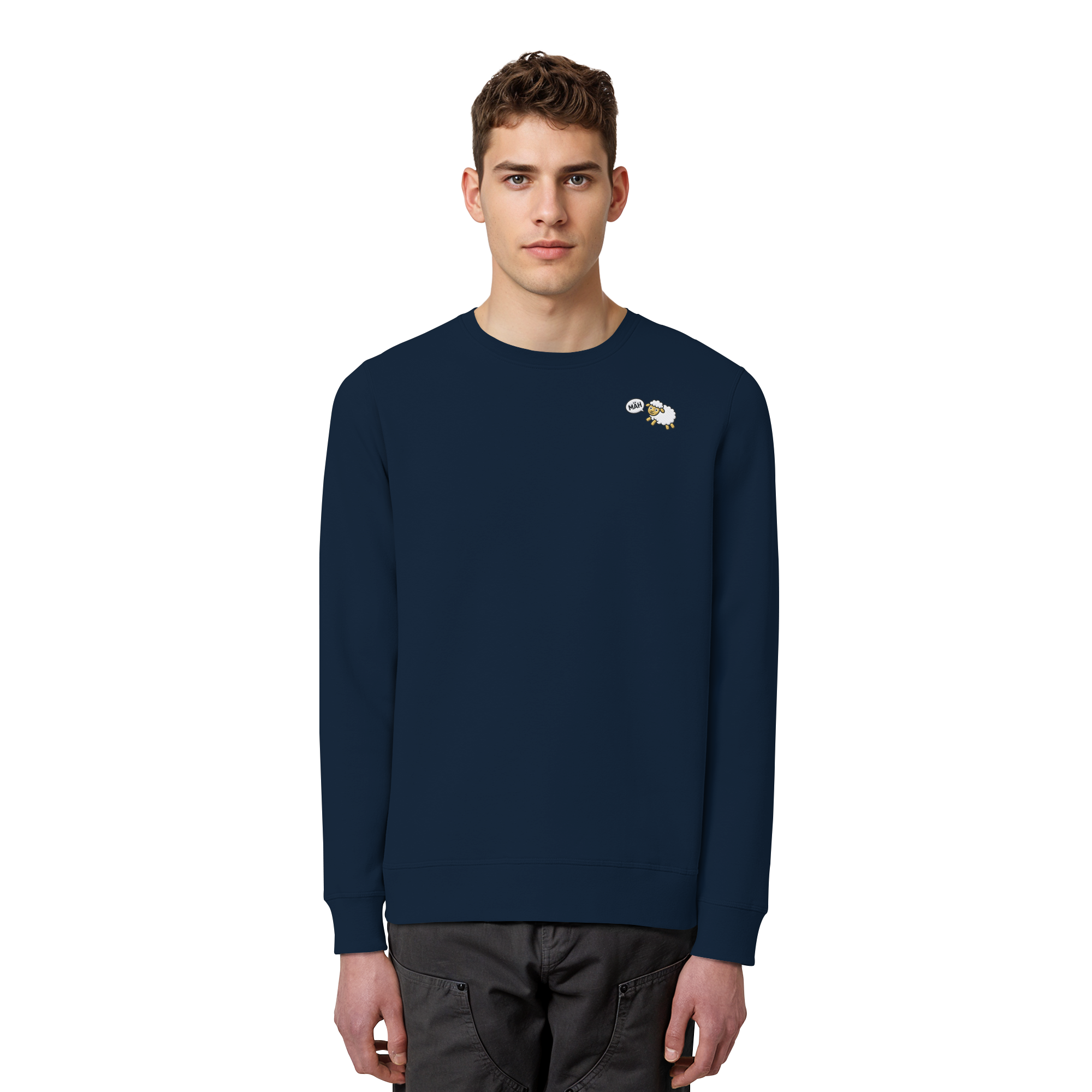 French Navy