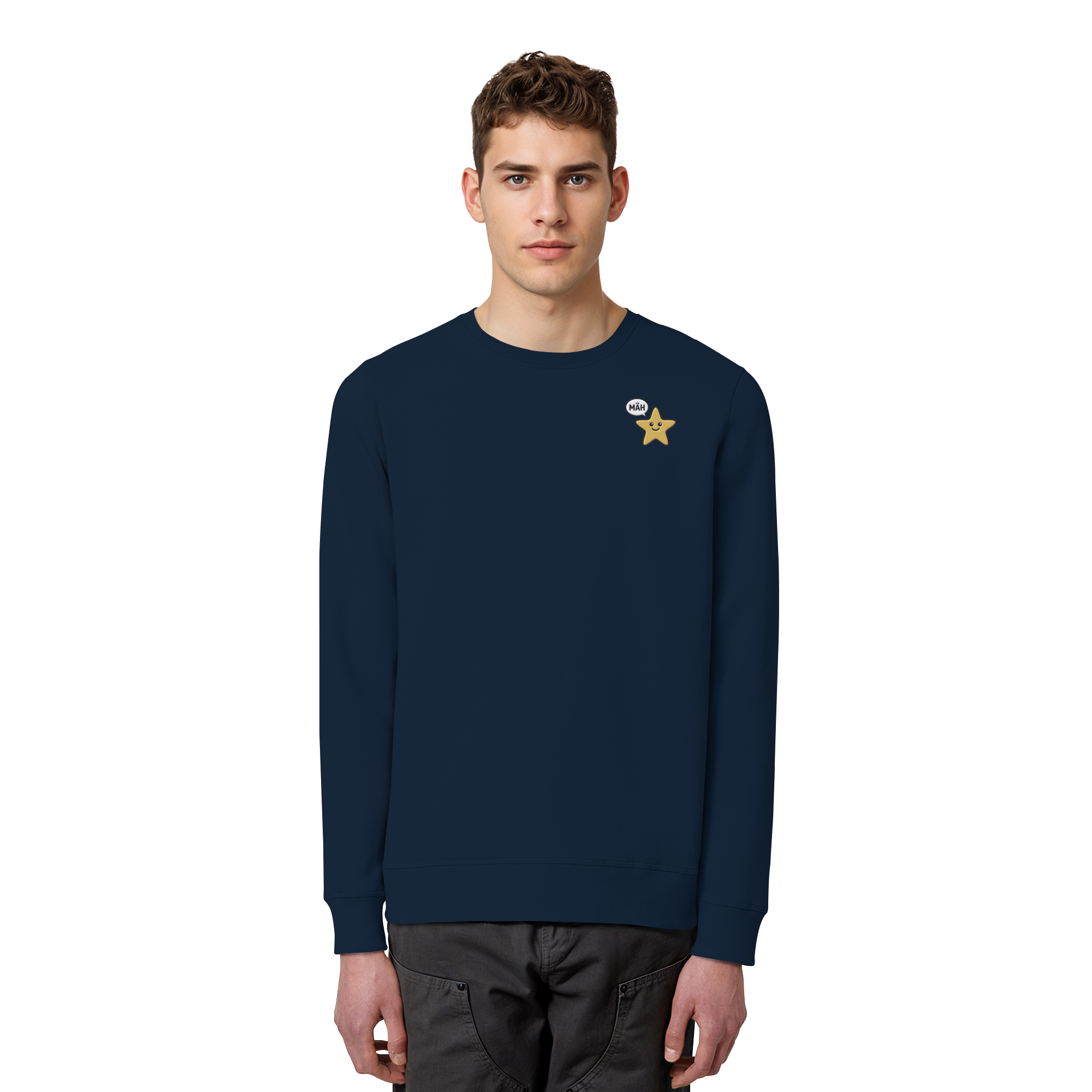 French Navy
