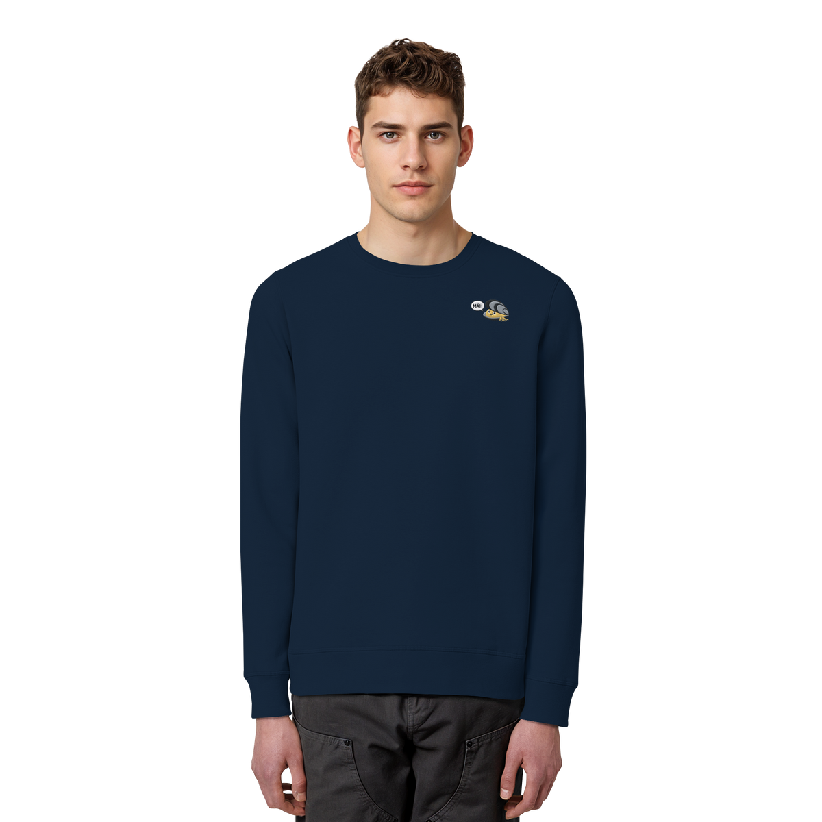 French Navy