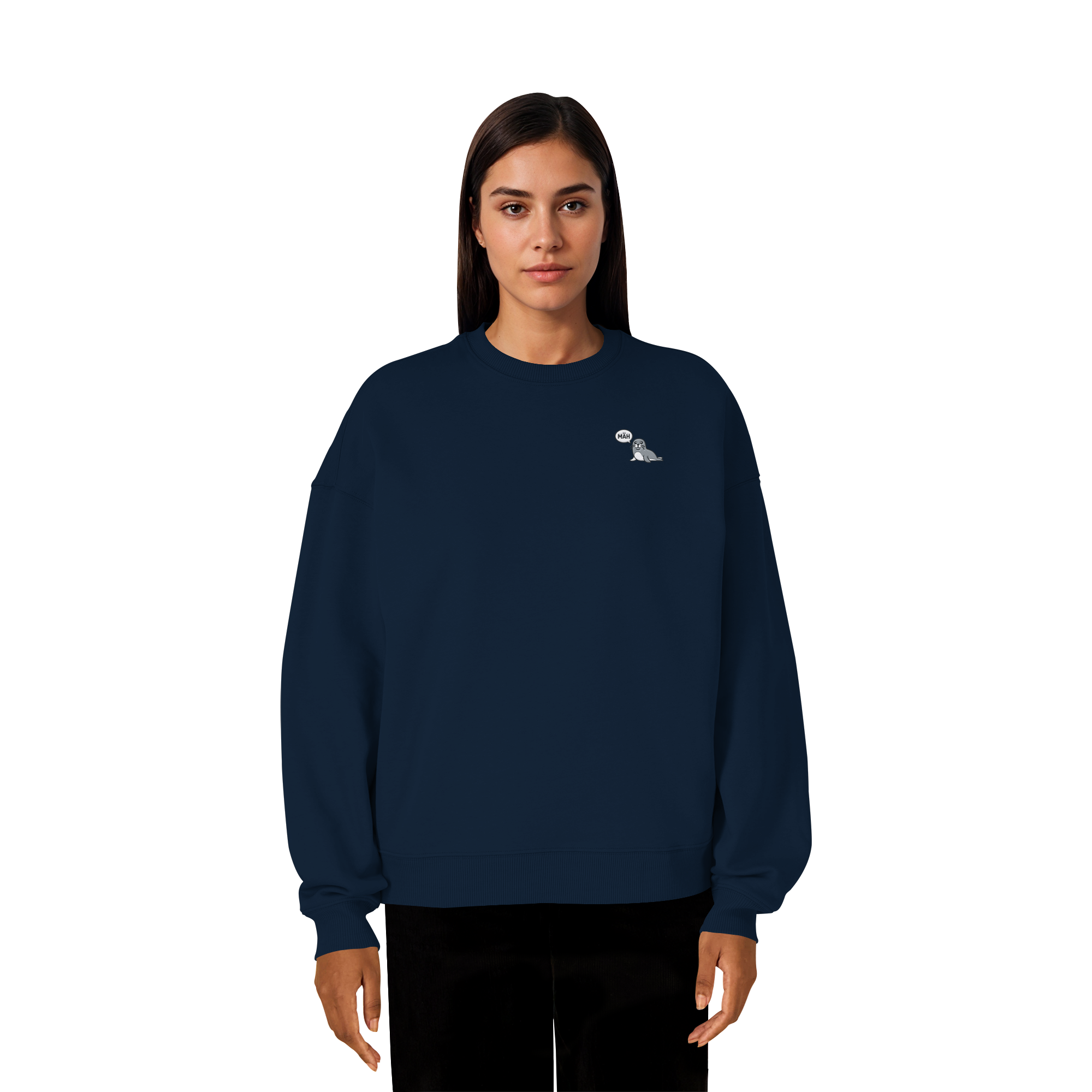 French Navy