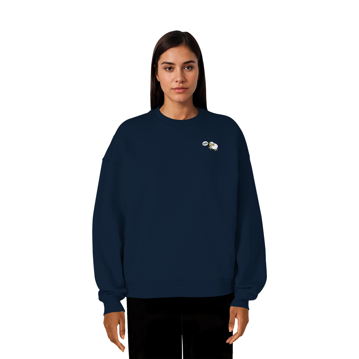 French Navy