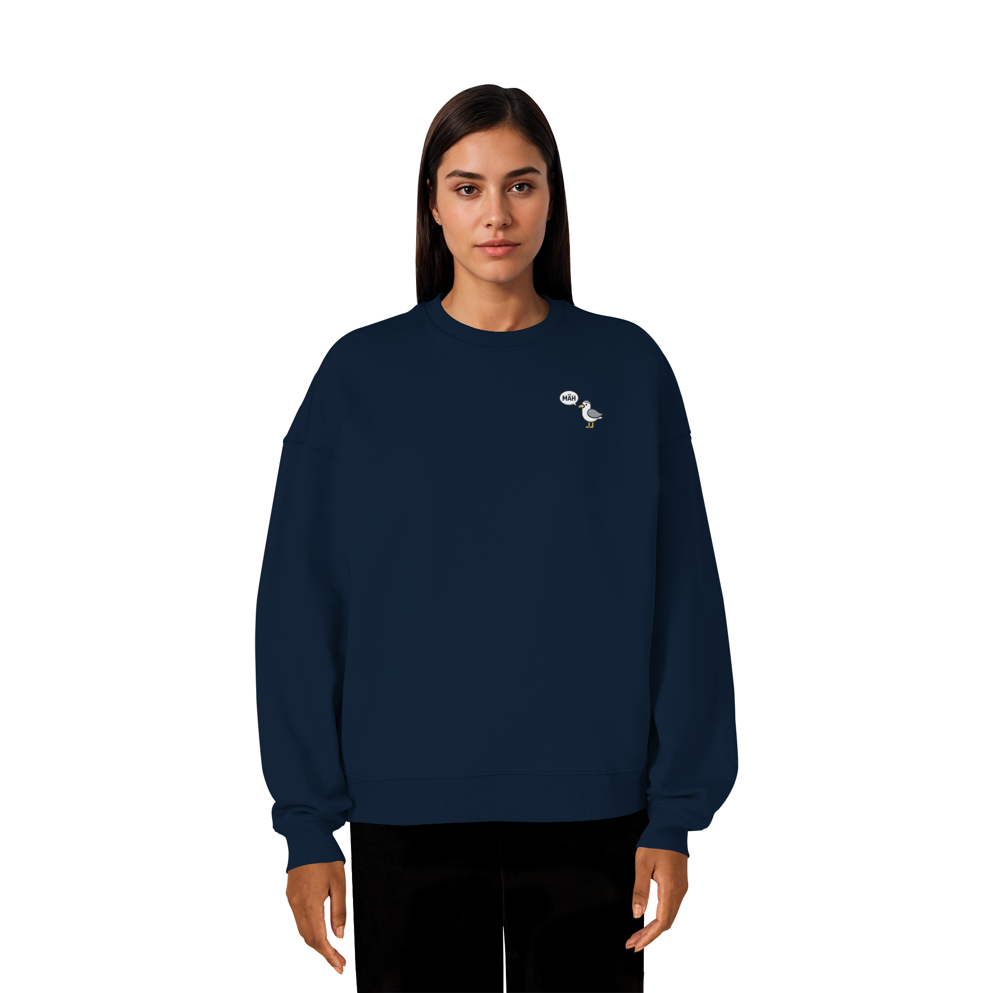 French Navy