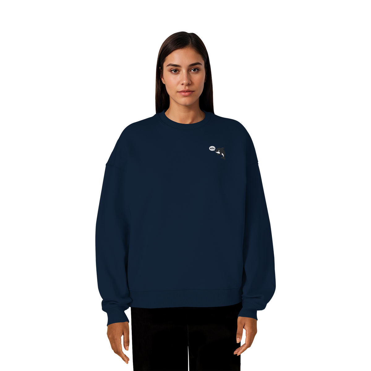 French Navy