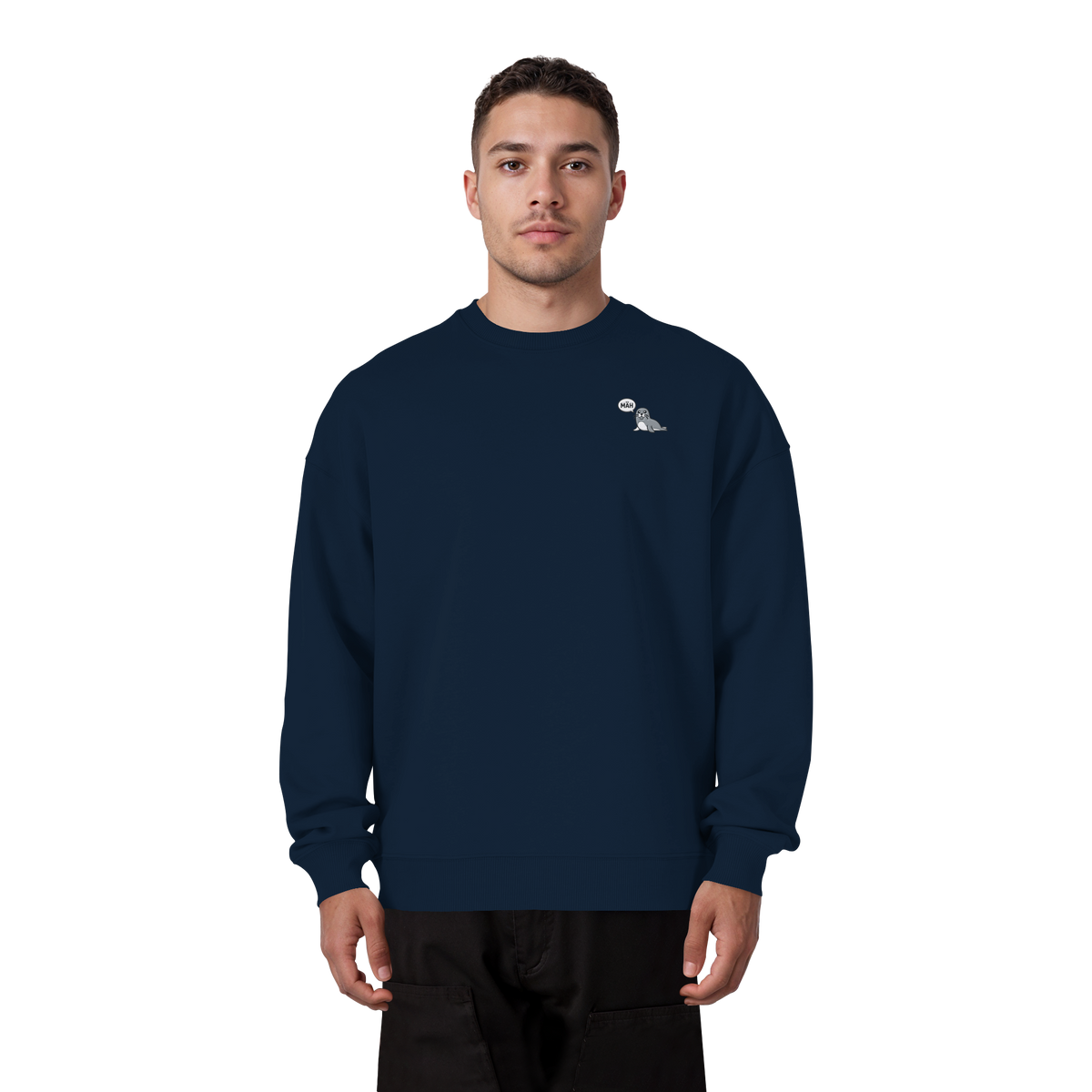 French Navy