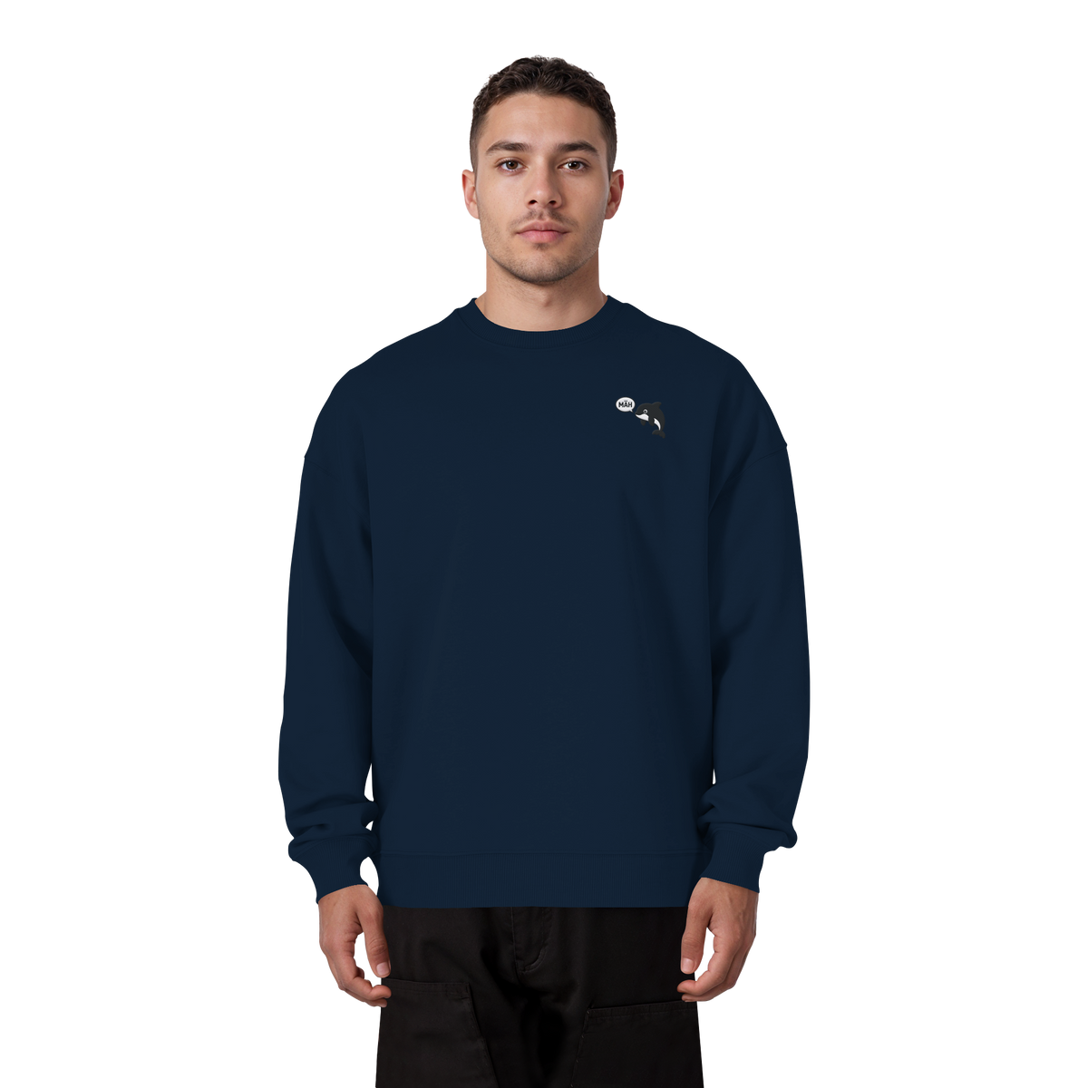 French Navy